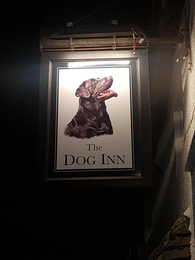 The Dog